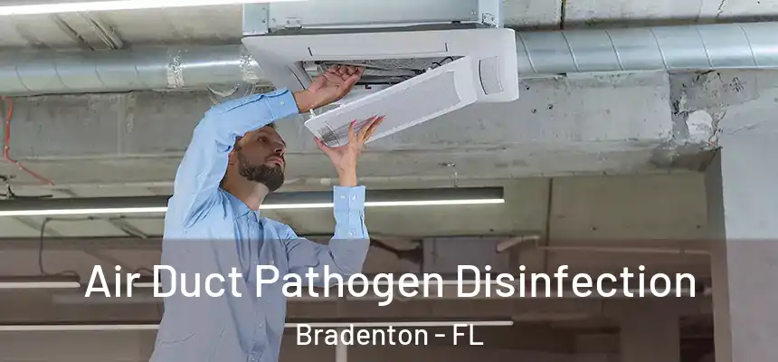 Air Duct Pathogen Disinfection Bradenton - FL