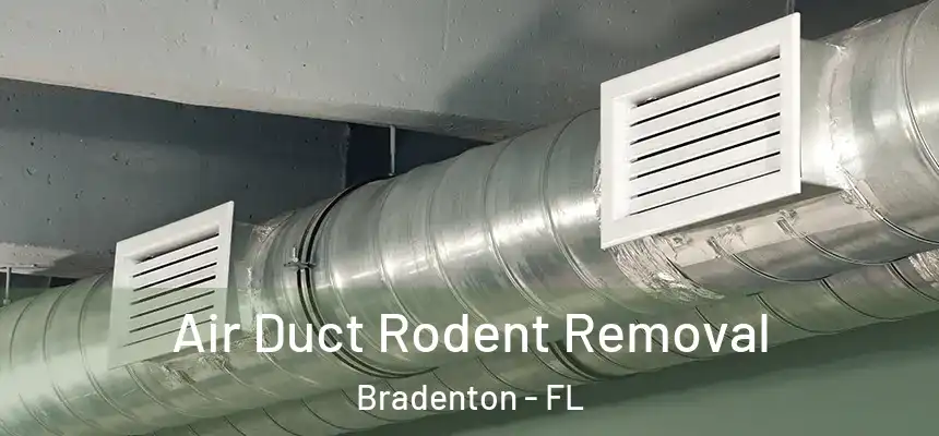 Air Duct Rodent Removal Bradenton - FL