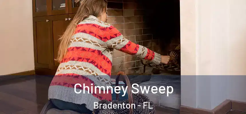 Chimney Sweep Bradenton - FL