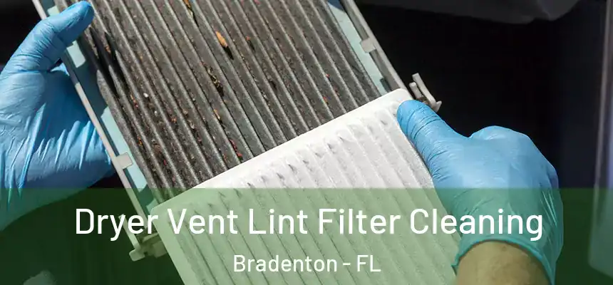Dryer Vent Lint Filter Cleaning Bradenton - FL