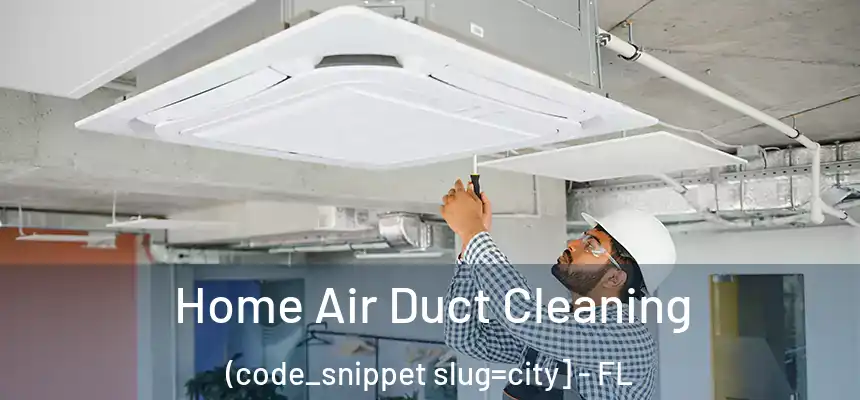  Home Air Duct Cleaning (code_snippet slug=city] - FL
