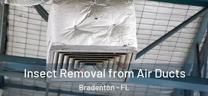 Insect Removal from Air Ducts Bradenton - FL