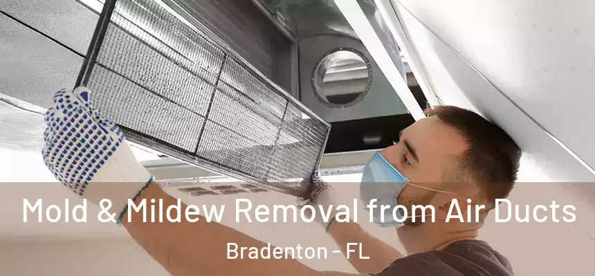 Mold & Mildew Removal from Air Ducts Bradenton - FL