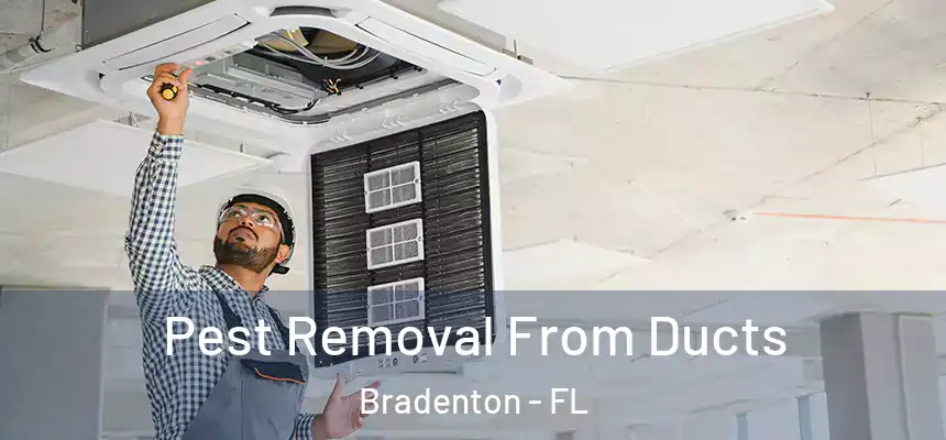 Pest Removal From Ducts Bradenton - FL