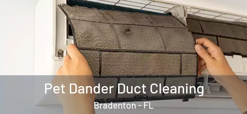 Pet Dander Duct Cleaning Bradenton - FL