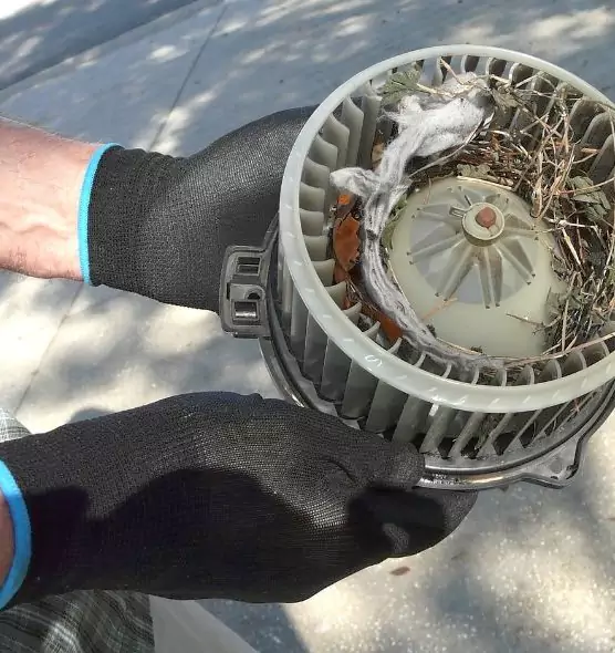 About Air Duct Rat Removal in Bradenton, FL