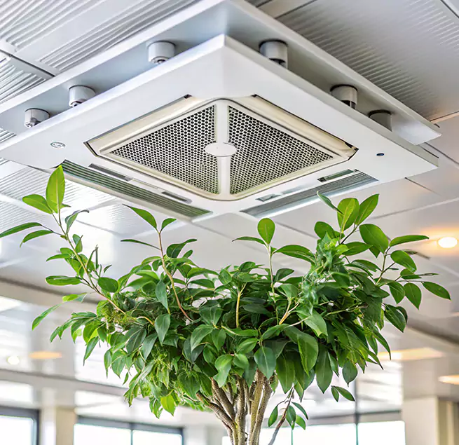 Why Homeowners & Businesses Trust Us in Bradenton, FL